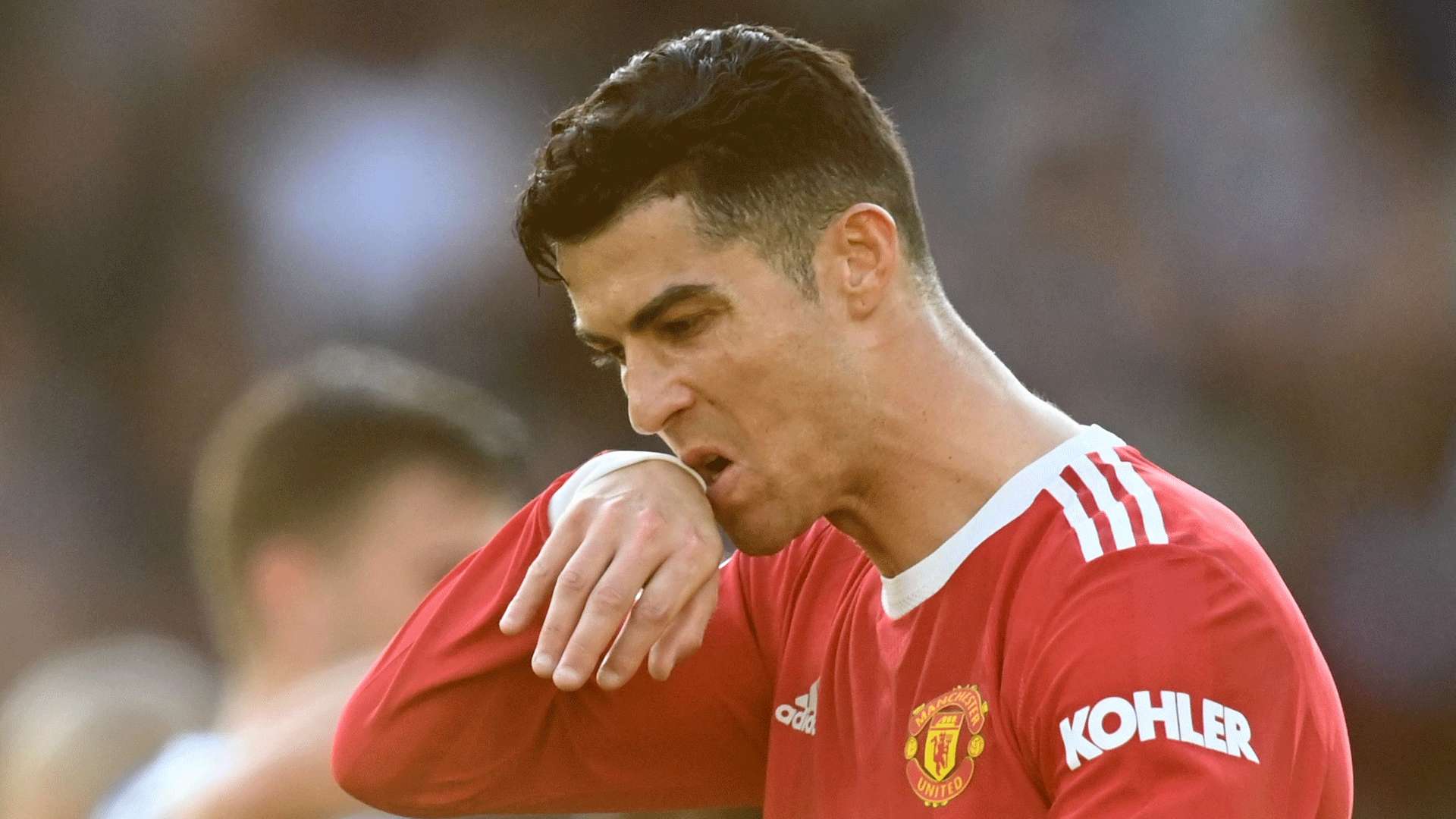 手的特点进 手的特点进