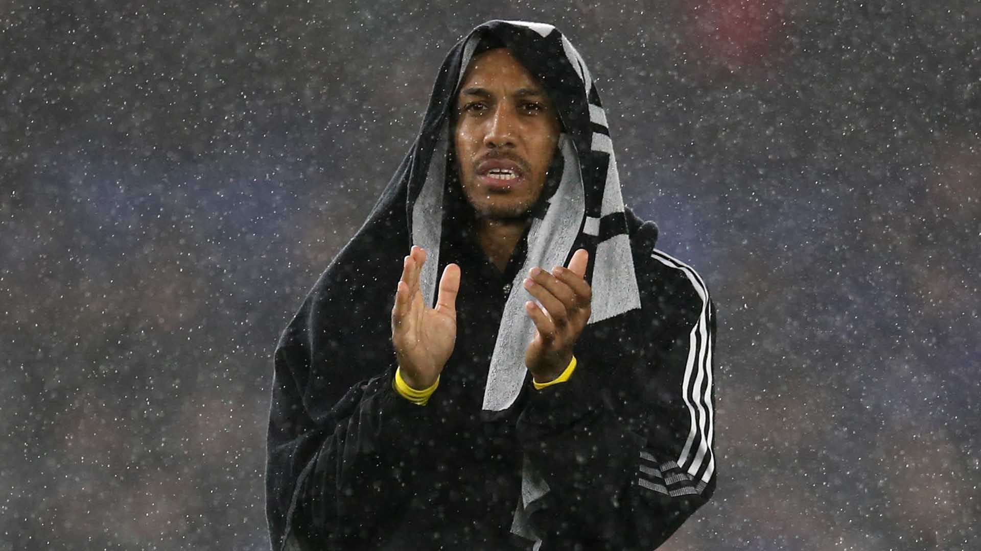 但无论如何 但无论如何